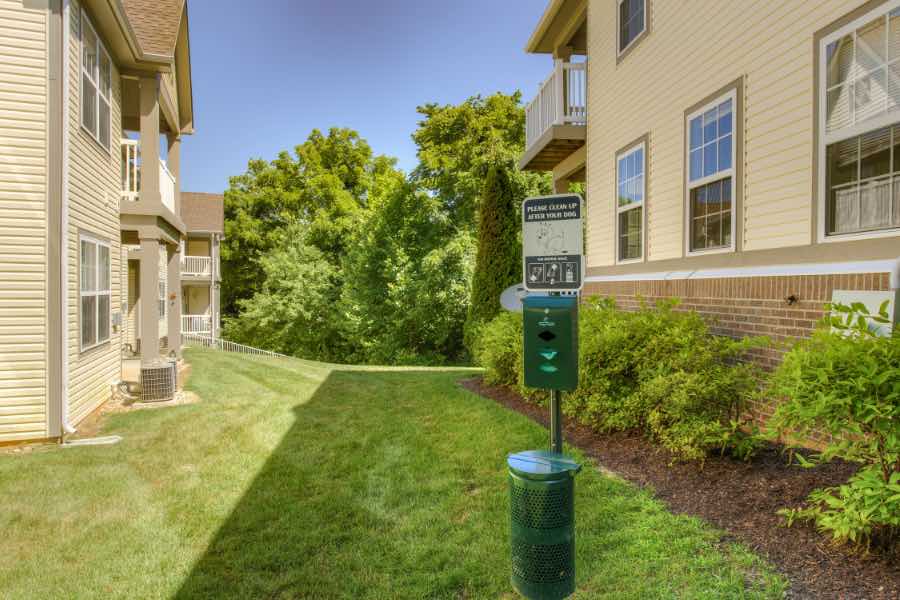Looking for pet-friendly options? City Flats on Tenth in Bloomington has space for you and your dog. The best graduate housing will have amenities like this fitness center at City Flats at Renwick in Bloomington.