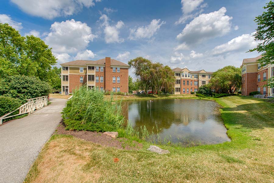Peaceful and well-maintained dog park is a must need for your pet's health and livelihood. Such as the one at Northaven Apartments. Northaven apartment's pond and grassy area.