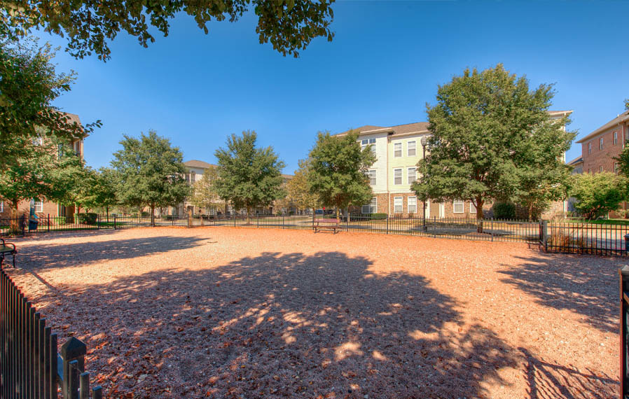 Let your dog run in a dog park, like the one at Legacy apartments in Carmel. Wide open dog park at Bloomington apartments.