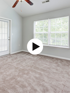 Virtual Tours  (3)